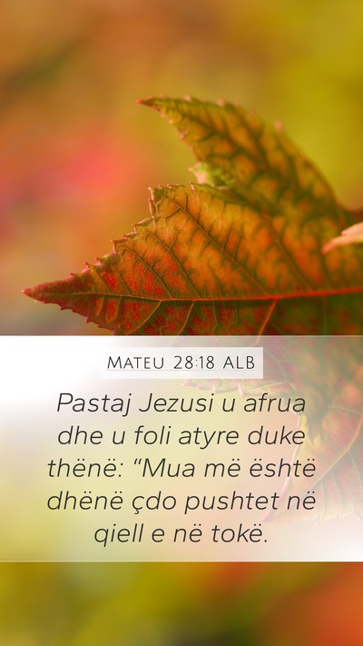 Mateu 28:18 ALB Bible Verse Image