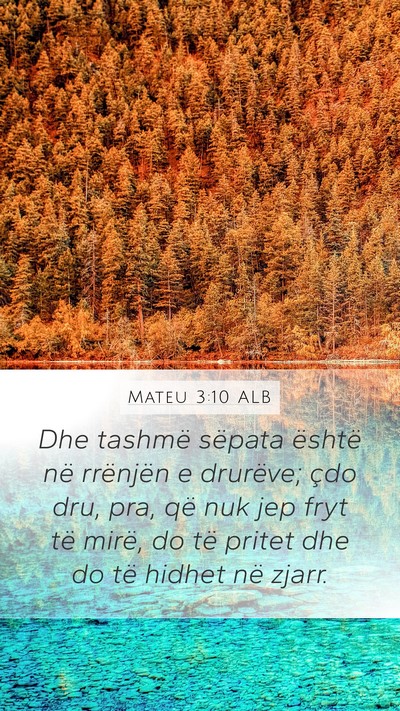 Mateu 3:10 ALB Bible Verse Image