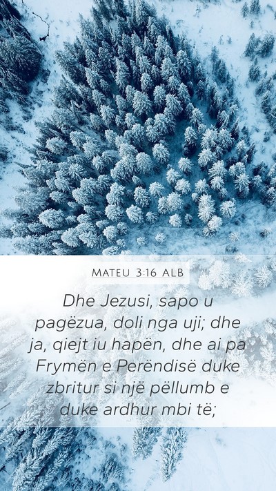 Mateu 3:16 ALB Bible Verse Image