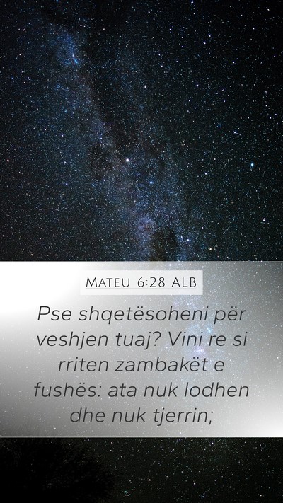 Mateu 6:28 ALB Bible Verse Image