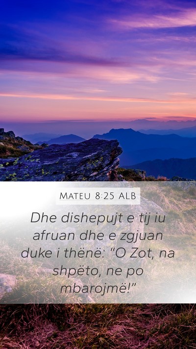 Mateu 8:25 ALB Bible Verse Image