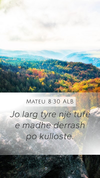 Mateu 8:30 ALB Mobile Phone Wallpaper - Jo larg tyre një tufë e madhe derrash po - Mobile Bible Verse Wallpaper