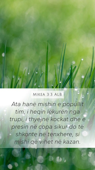 Mikea 3:3 ALB Bible Verse Image