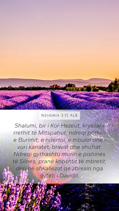 Nehemia 3:15 ALB Bible Verse Image