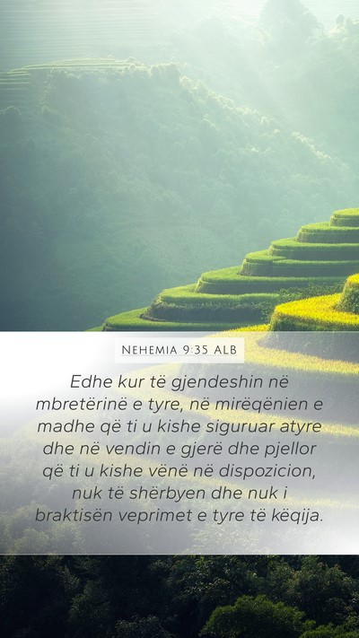 Nehemia 9:35 ALB Bible Verse Image