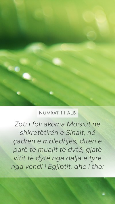 Numrat 1:1 ALB Mobile Phone Wallpaper - Zoti i foli akoma Moisiut në shkretëtirën e - Mobile Bible Verse Wallpaper