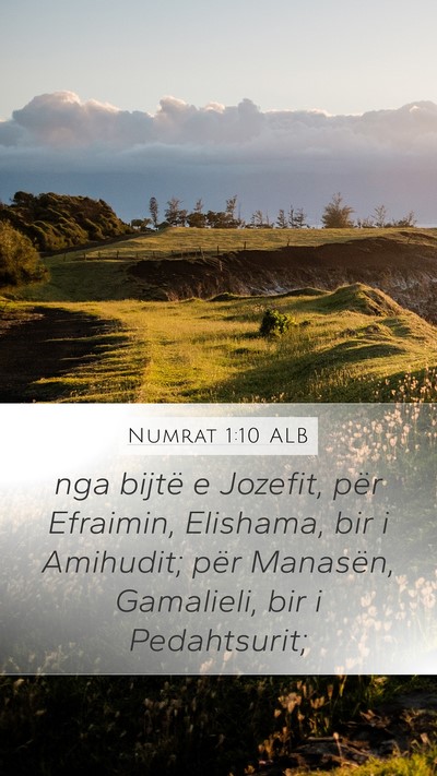 Numrat 1:10 ALB Bible Verse Image