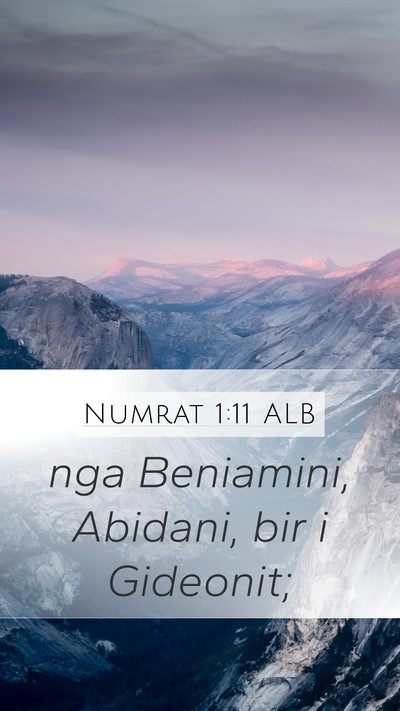 Numrat 1:11 ALB Bible Verse Image