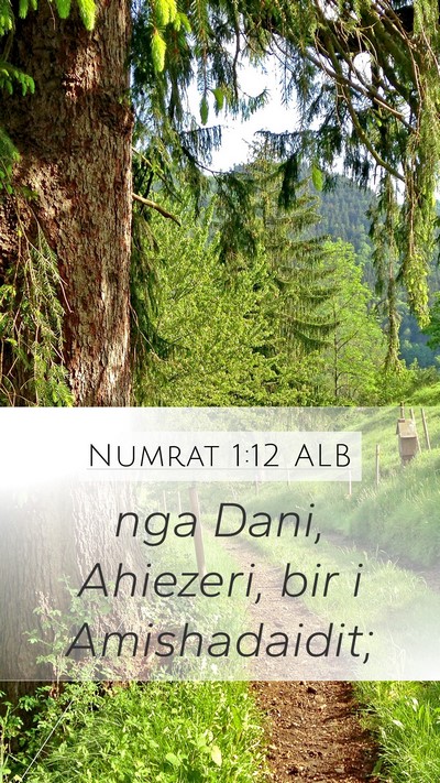 Numrat 1:12 ALB Bible Verse Image