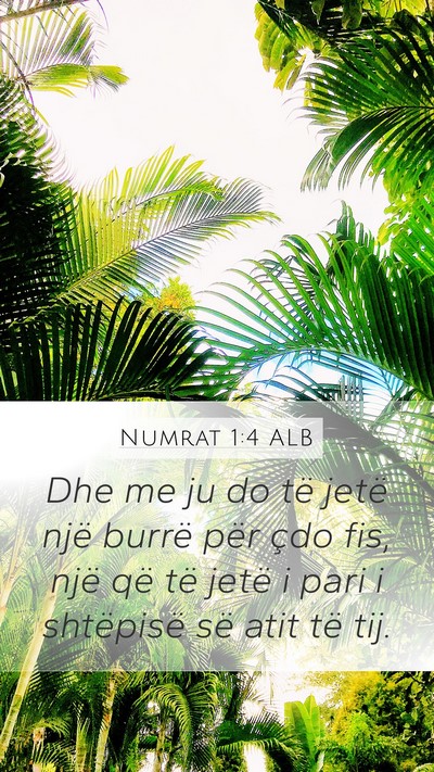 Numrat 1:4 ALB Bible Verse Image