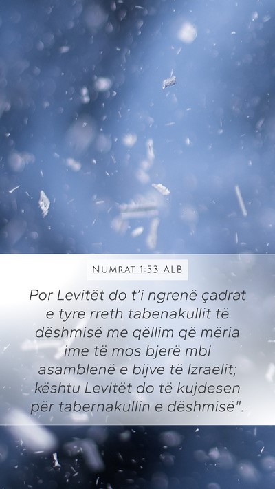 Numrat 1:53 ALB Bible Verse Image