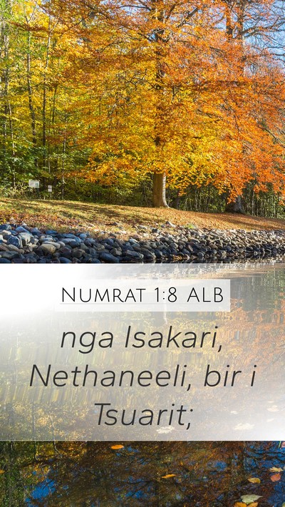 Numrat 1:8 ALB Bible Verse Image