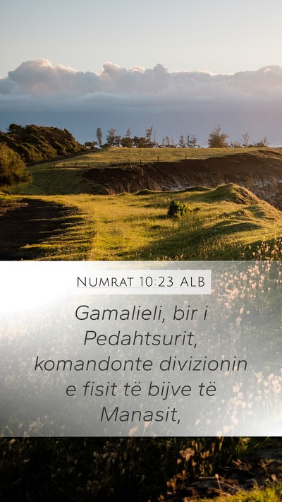 Numrat 10:23 ALB Bible Verse Image