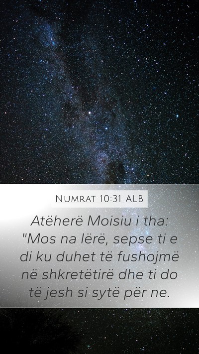 Numrat 10:31 ALB Bible Verse Image