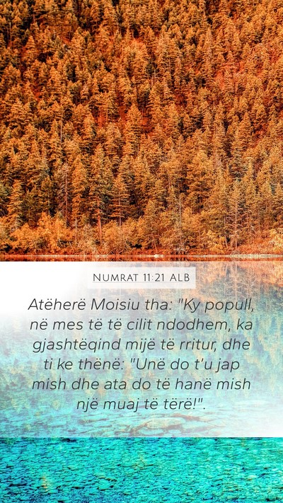 Numrat 11:21 ALB Bible Verse Image