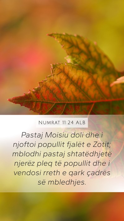 Numrat 11:24 ALB Mobile Phone Wallpaper - Pastaj Moisiu doli dhe i njoftoi popullit fjalët - Mobile Bible Verse Wallpaper