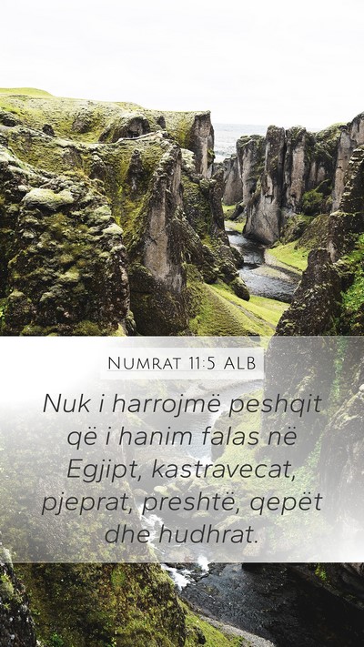 Numrat 11:5 ALB Bible Verse Image