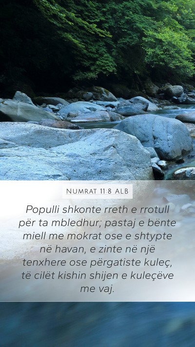 Numrat 11:8 ALB Mobile Phone Wallpaper - Populli shkonte rreth e rrotull për ta mbledhur; - Mobile Bible Verse Wallpaper