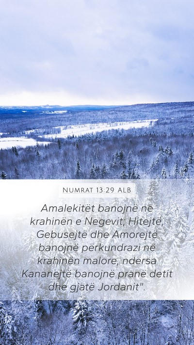 Numrat 13:29 ALB Bible Verse Image