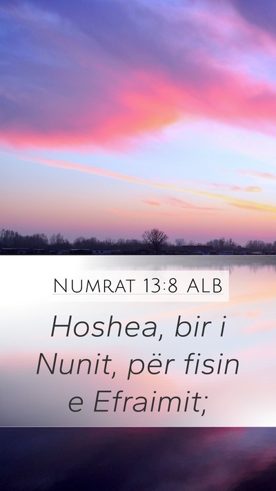 Numrat 13:8 ALB Bible Verse Image