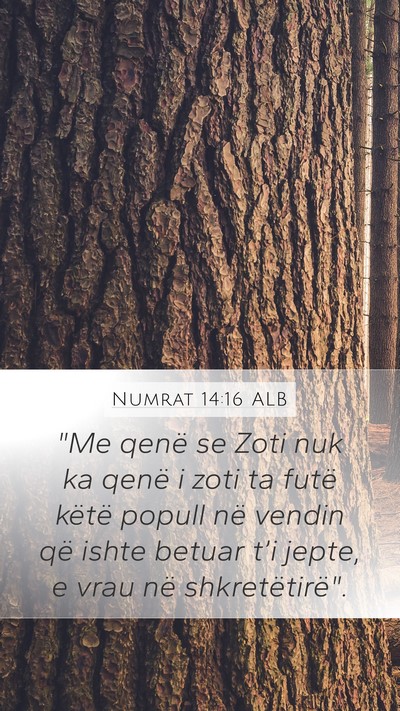 Numrat 14:16 ALB Bible Verse Image
