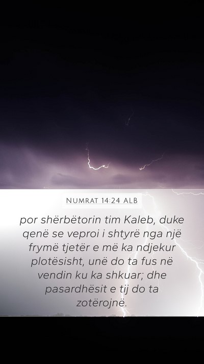 Numrat 14:24 ALB Bible Verse Image