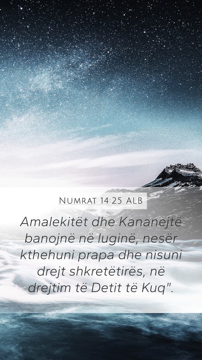 Numrat 14:25 ALB Bible Verse Image