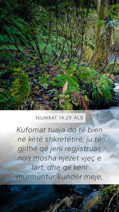 Numrat 14:29 ALB Bible Verse Image