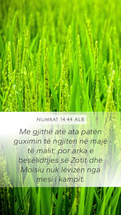 Numrat 14:44 ALB Mobile Phone Wallpaper - Me gjithë atë ata patën guximin të ngjiten - Mobile Bible Verse Wallpaper