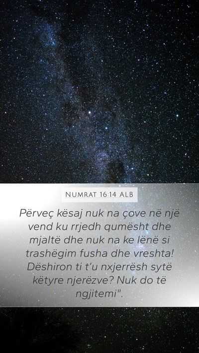 Numrat 16:14 ALB Bible Verse Image