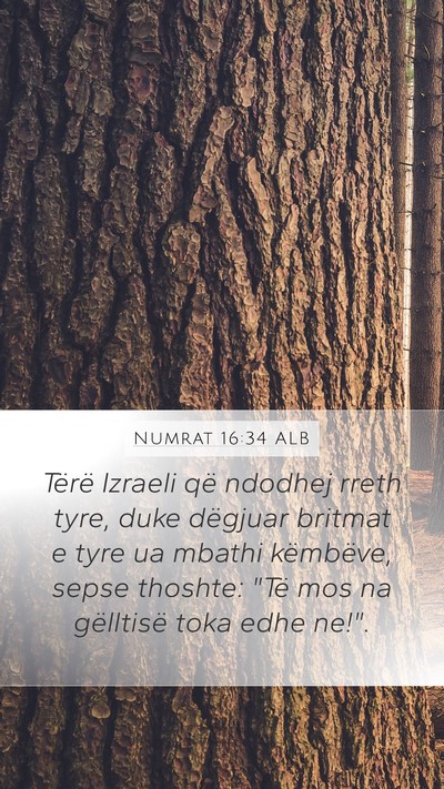 Numrat 16:34 ALB Mobile Phone Wallpaper - Tërë Izraeli që ndodhej rreth tyre, duke - Mobile Bible Verse Wallpaper