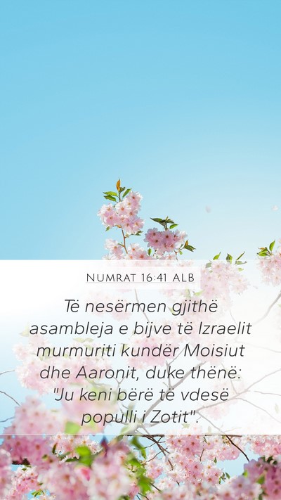 Numrat 16:41 ALB Bible Verse Image