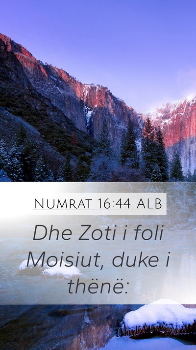 Numrat 16:44 ALB Bible Verse Image
