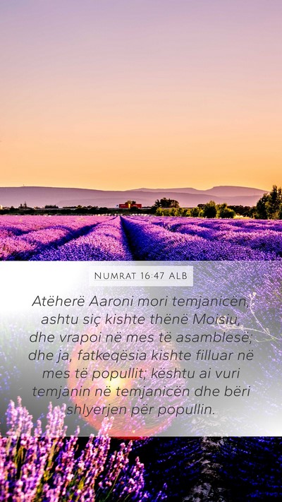 Numrat 16:47 ALB Bible Verse Image