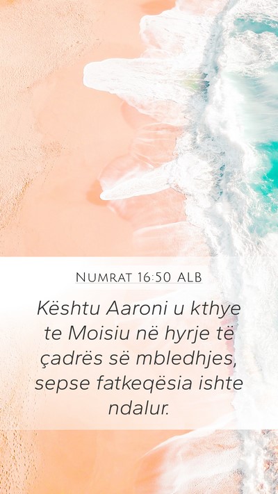 Numrat 16:50 ALB Mobile Phone Wallpaper - Kështu Aaroni u kthye te Moisiu në hyrje të - Mobile Bible Verse Wallpaper