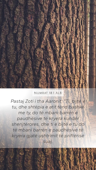 Numrat 18:1 ALB Bible Verse Image