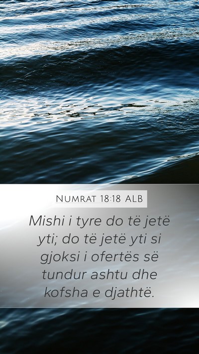 Numrat 18:18 ALB Bible Verse Image