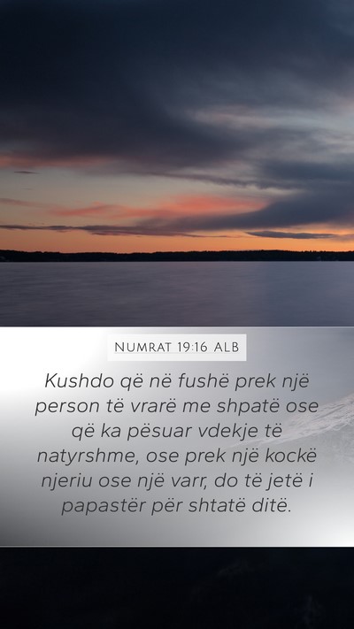 Numrat 19:16 ALB Bible Verse Image