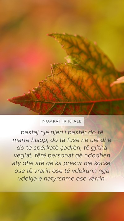 Numrat 19:18 ALB Mobile Phone Wallpaper - pastaj një njeri i pastër do të marrë hisop, - Mobile Bible Verse Wallpaper