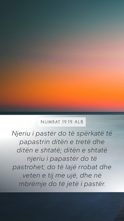 Numrat 19:19 ALB Bible Verse Image