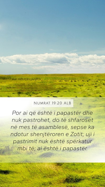 Numrat 19:20 ALB Bible Verse Image