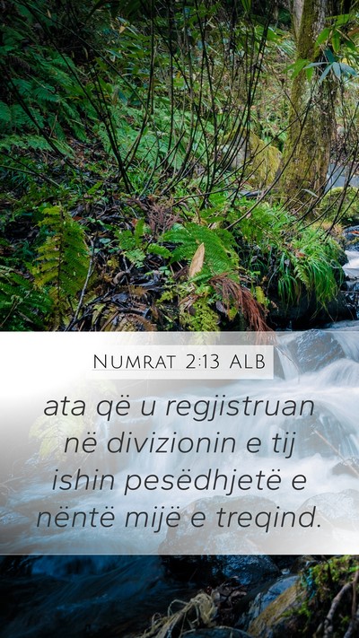 Numrat 2:13 ALB Bible Verse Image