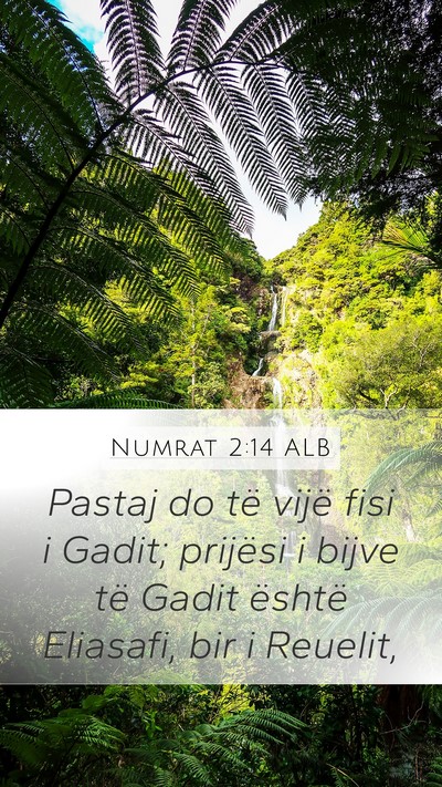 Numrat 2:14 ALB Bible Verse Image