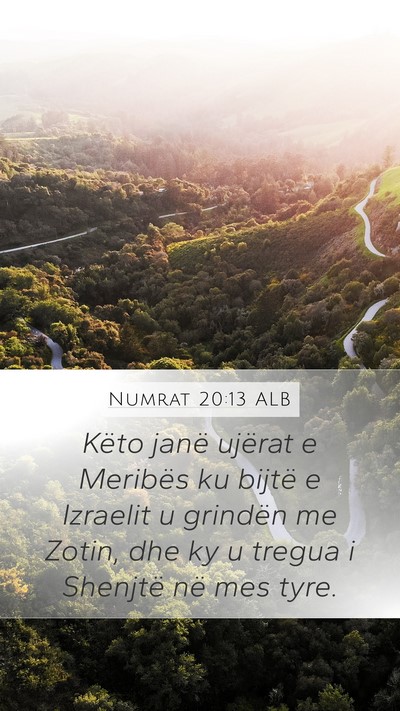 Numrat 20:13 ALB Bible Verse Image
