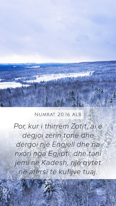 Numrat 20:16 ALB Bible Verse Image