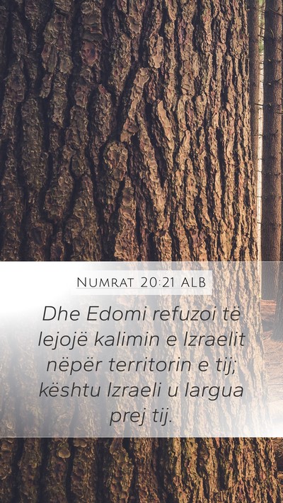 Numrat 20:21 ALB Bible Verse Image
