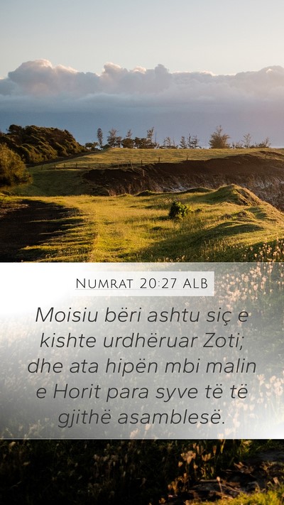 Numrat 20:27 ALB Bible Verse Image