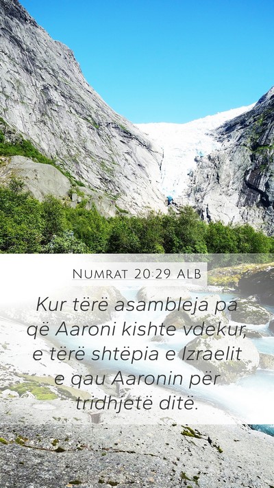 Numrat 20:29 ALB Bible Verse Image