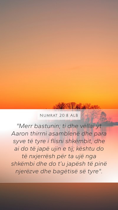 Numrat 20:8 ALB Bible Verse Image