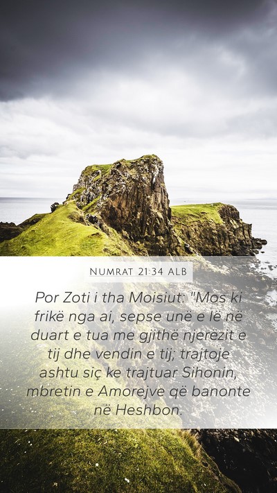 Numrat 21:34 ALB Bible Verse Image